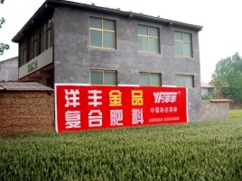 藤县如何让墙体广告展现最大化效果