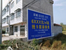 藤县墙体广告质量分析