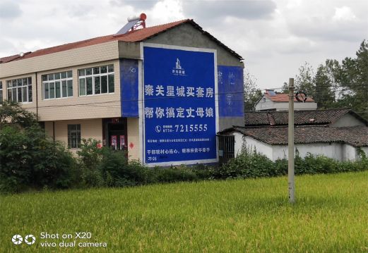 藤县决定墙体广告价格的因素有哪些?